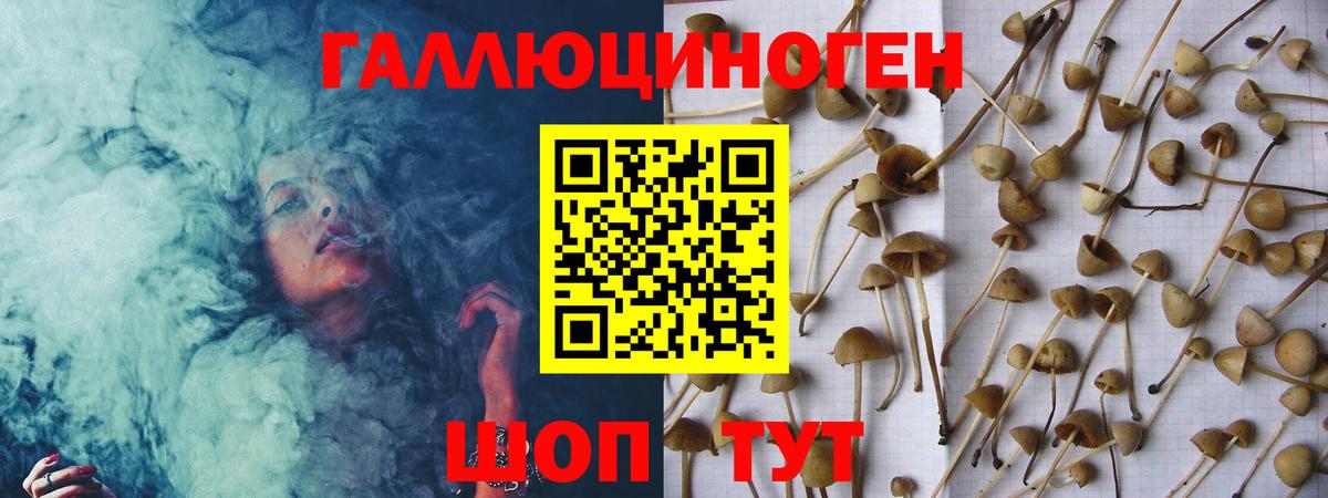Псилоцибиновые грибы Psilocybe  Вход с VPN  Галлюциногенные грибы мицелий  Ростов-на-Дону 